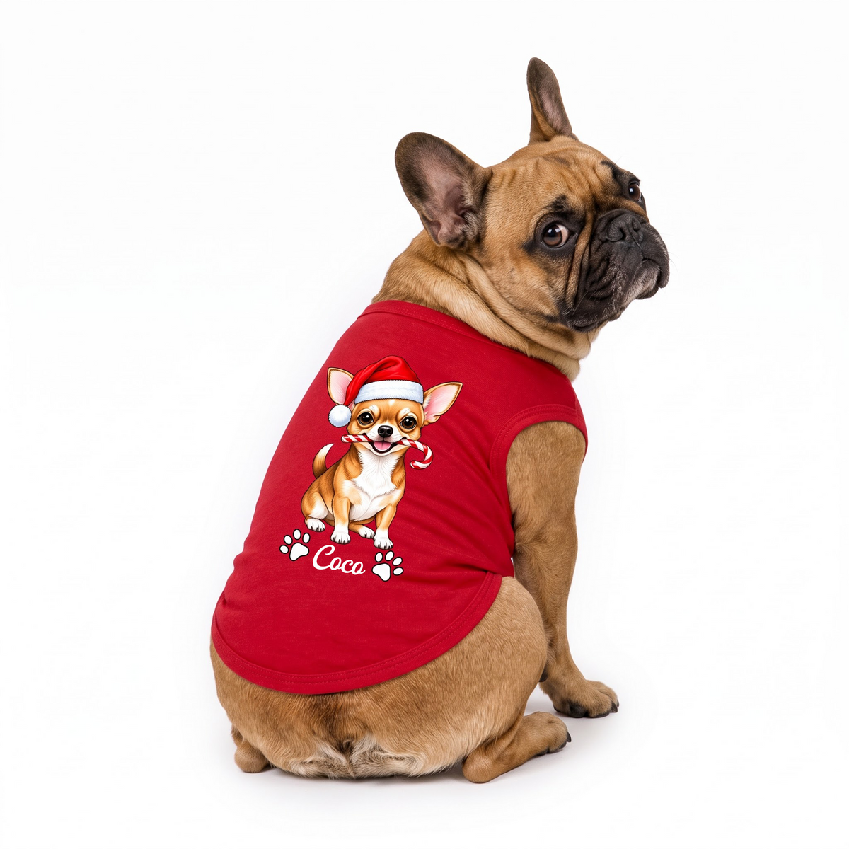 Cute Personalized Chihuahua Christmas Matching Family Pajamas With Pet