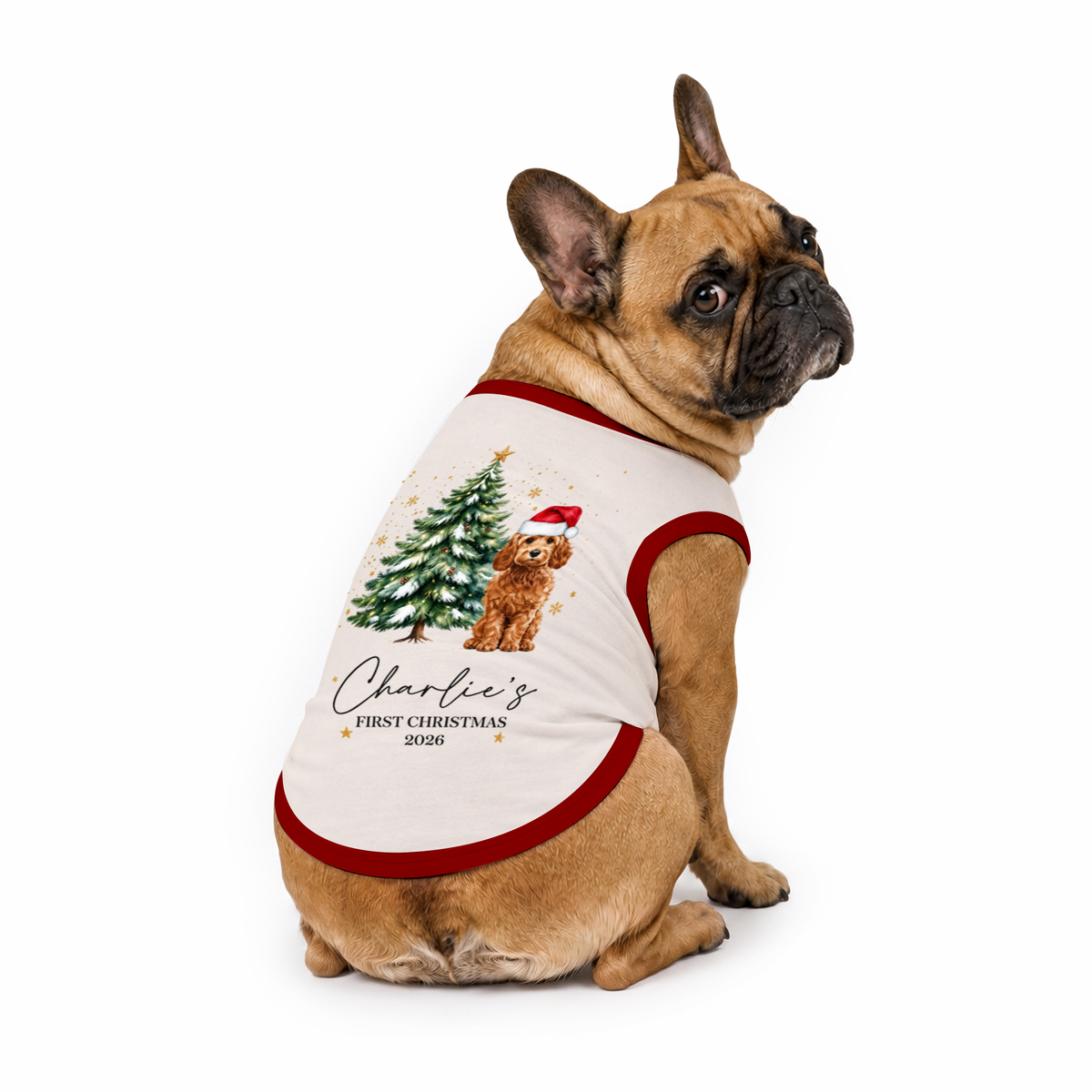 Personalised Dogs First Christmas Matching Family Christmas Pajamas With Pet