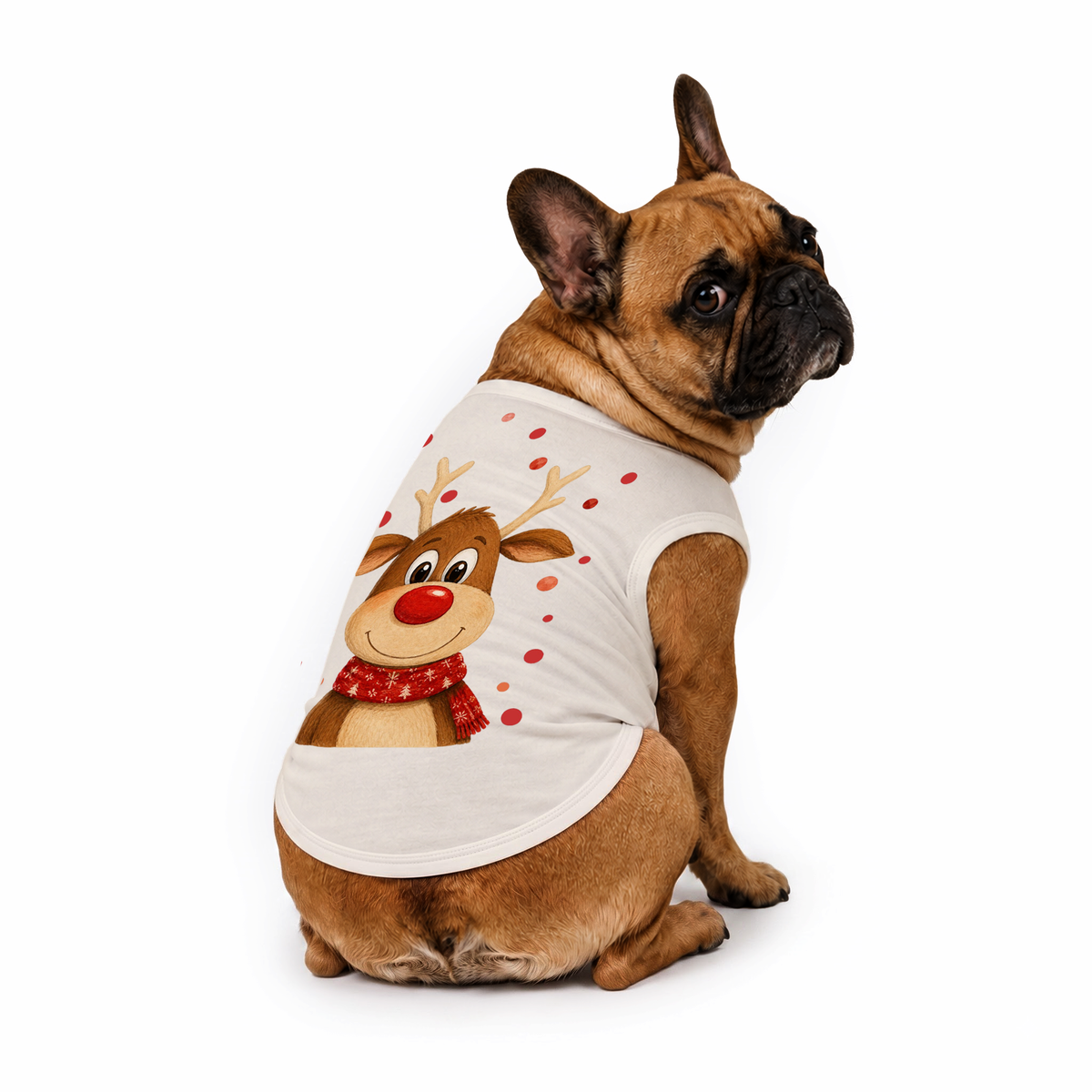 Cute Reindeer Family Matching Christmas Pajamas With Pet (Copy)