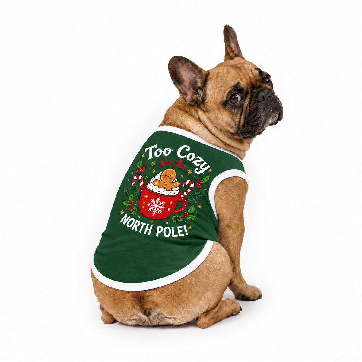 Cute Gingerbread Mug Family Matching Christmas Pajamas With Pet