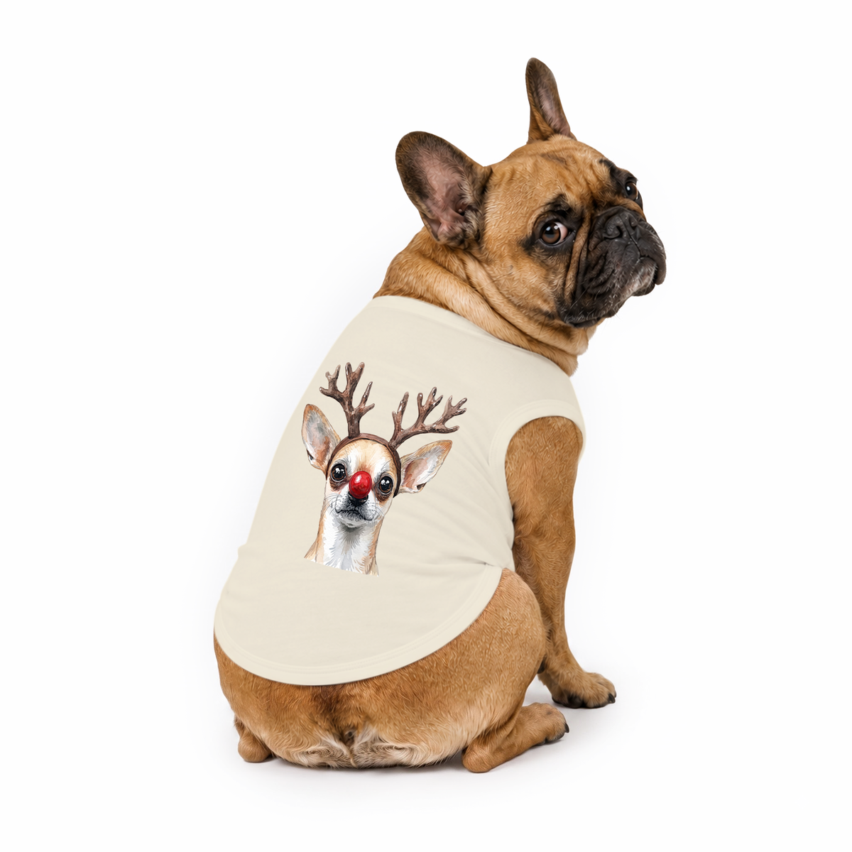 Cozy Reindeer Chihuahua Red Nose Dog Family Christmas Pajamas