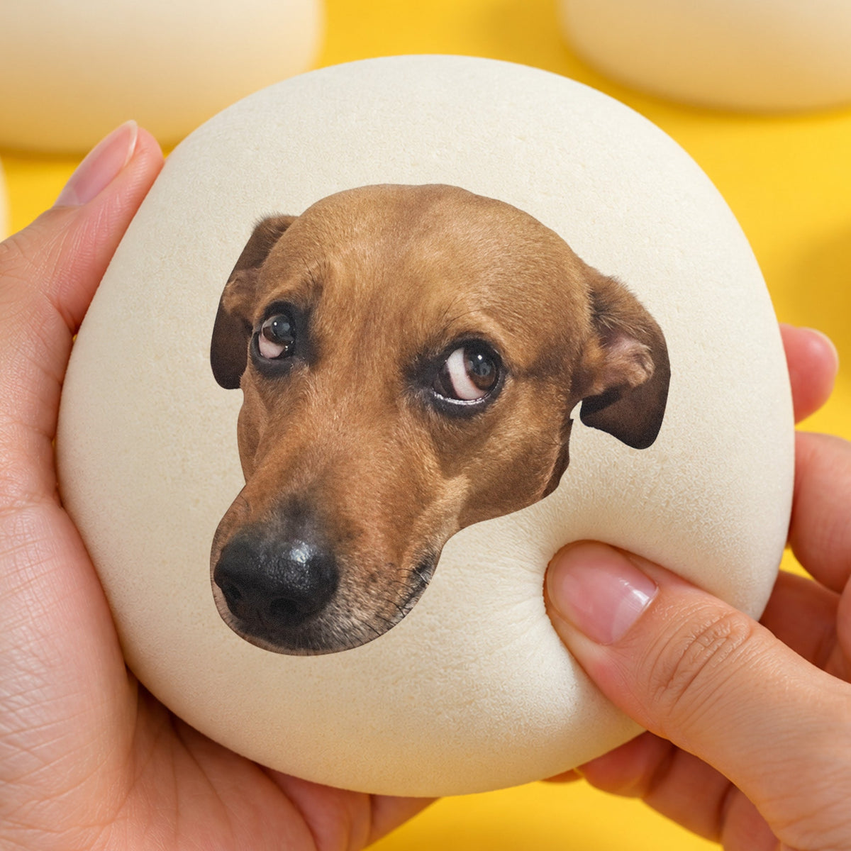 Personalized Funny Face For Coworker, Boss, Dad, Husband, Pets - Personalized Squishy Toy