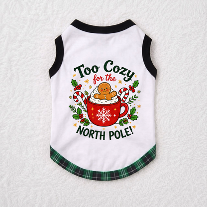 Cozy Gingerbread Christmas Family Matching Pajamas With Pet