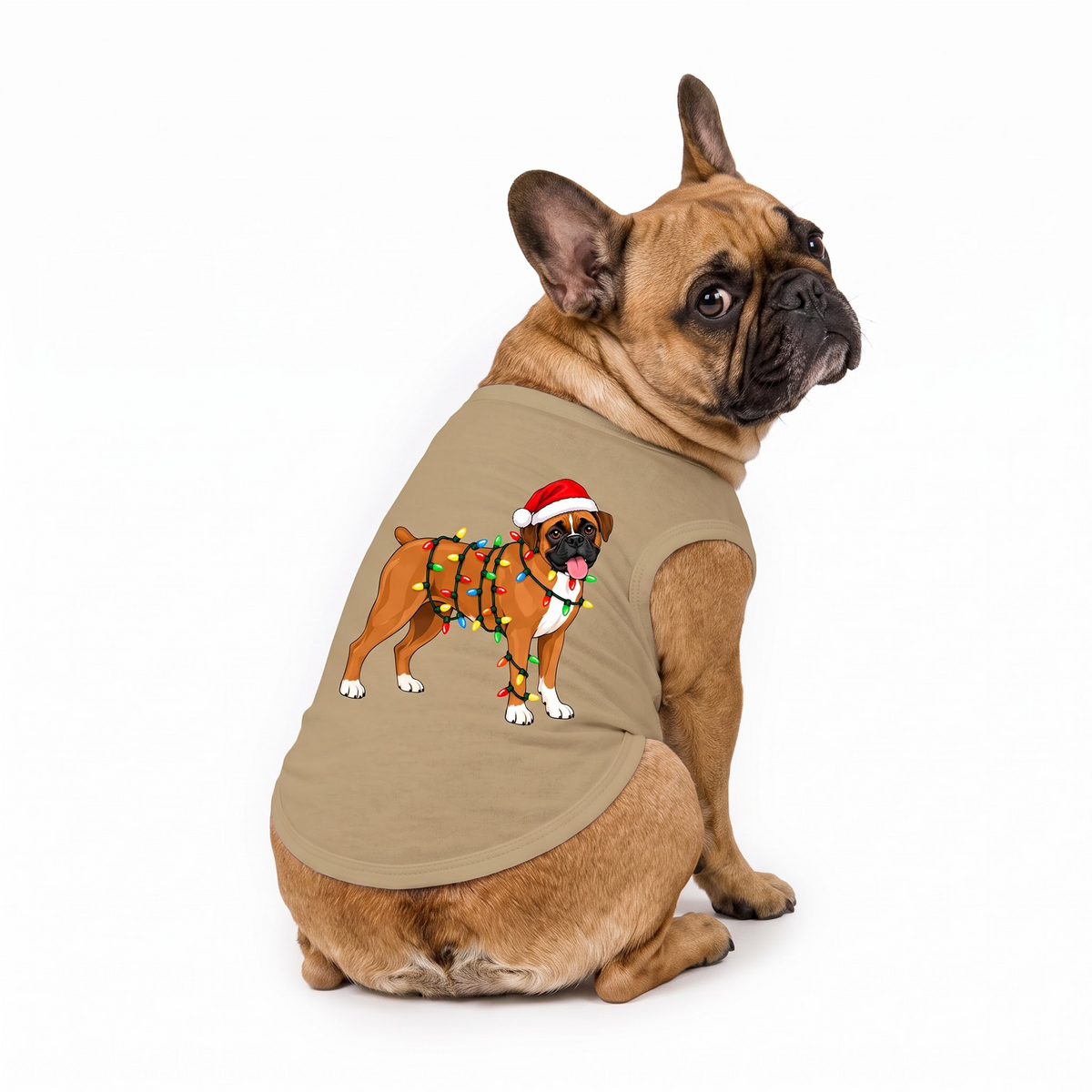 Cute Boxer Dog Lover Christmas Matching Family Pajamas With Pet