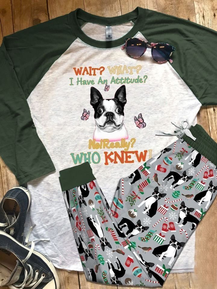 Boston Terrier Green High Quality Pajama Set |Sleepwear Pjs Sets | Raglan Shirt Pants Set