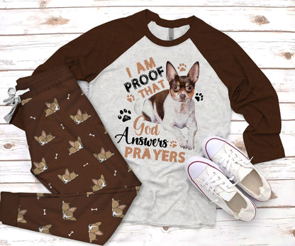 Chihuahua Chihuahua Puppy Dark Brown Unique Pajama Set |Sleepwear Pjs Sets | Raglan Shirt Pants Set