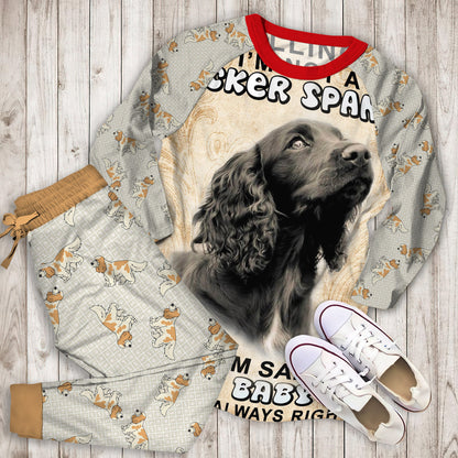 Cocker Spaniel Vintage Pajama Set |Sleepwear Pjs Sets | Raglan Shirt Pants Set