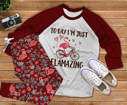 Flamingo Flamazing Pajama Set |Sleepwear Pjs Sets | Raglan Shirt Pants Set
